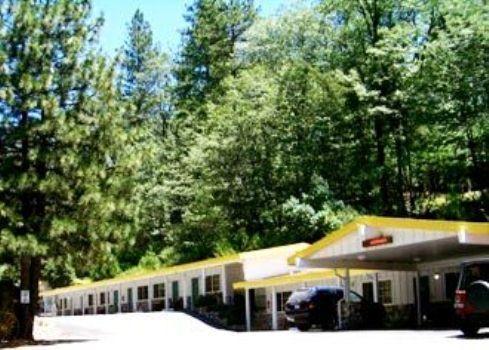 Golden Chain Motel Grass Valley Kültér fotó